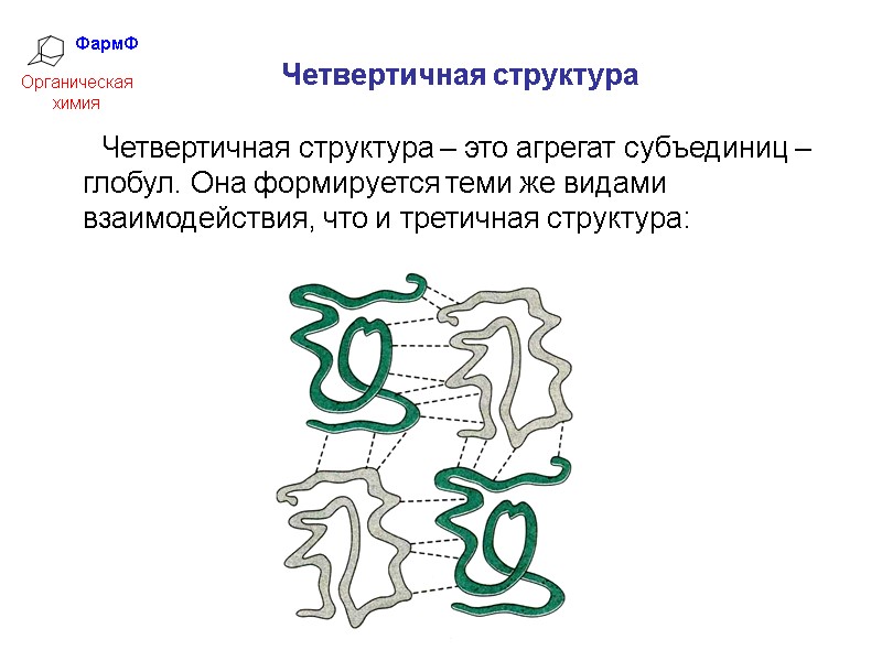 ФармФ  Органическая химия Четвертичная структура    Четвертичная структура – это агрегат